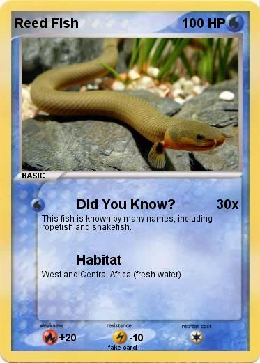 Pokemon Reed Fish