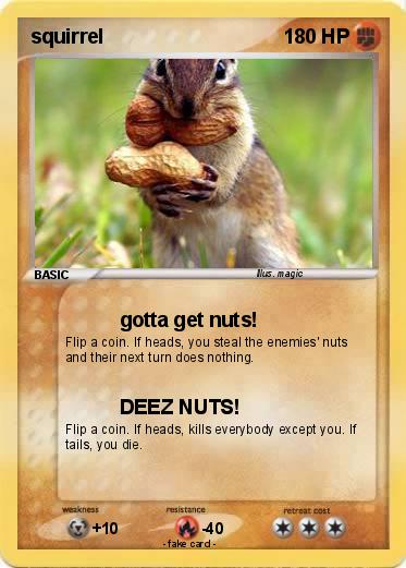 Pokemon squirrel