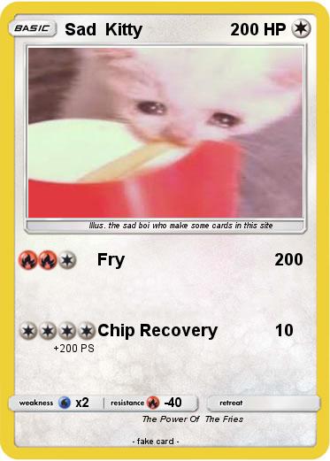Pokemon Sad  Kitty