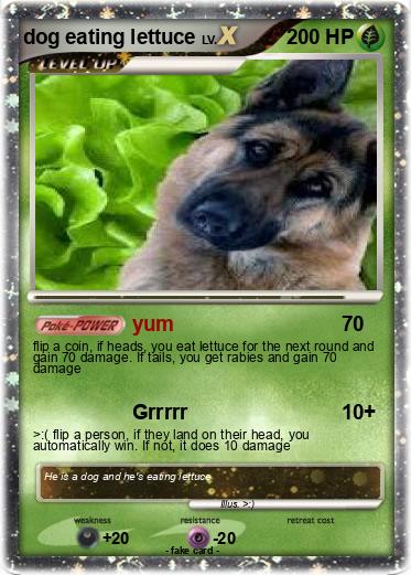 Pokemon dog eating lettuce