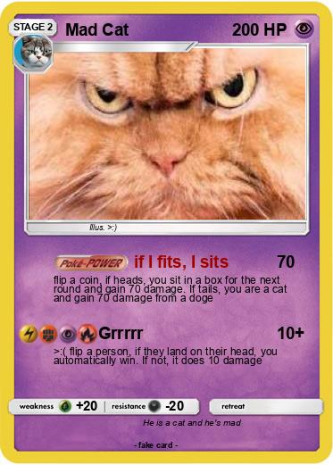 Pokemon Mad Cat