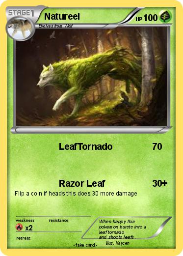 Pokemon Natureel