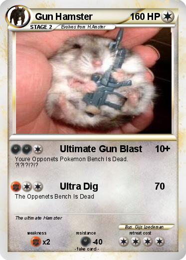 Pokemon Gun Hamster