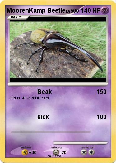 Pokemon MoorenKamp Beetle