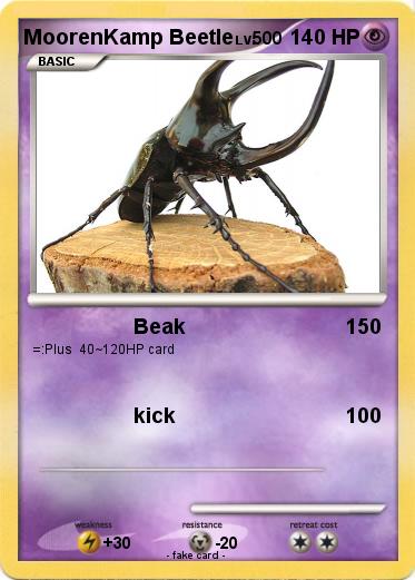 Pokemon MoorenKamp Beetle
