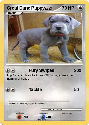 Pokemon Great Dane Puppy