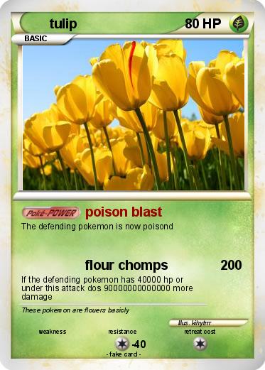 Pokemon tulip