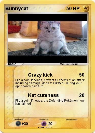 Pokemon Bunnycat