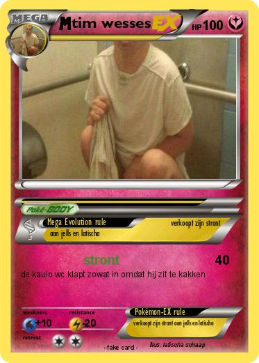 Pokemon tim wesses
