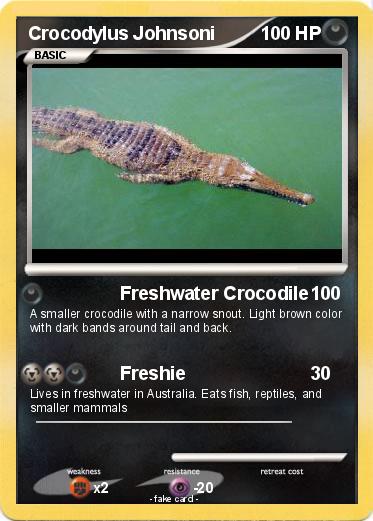 Pokemon Crocodylus Johnsoni