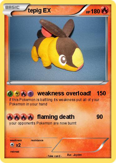 Pokemon tepig EX