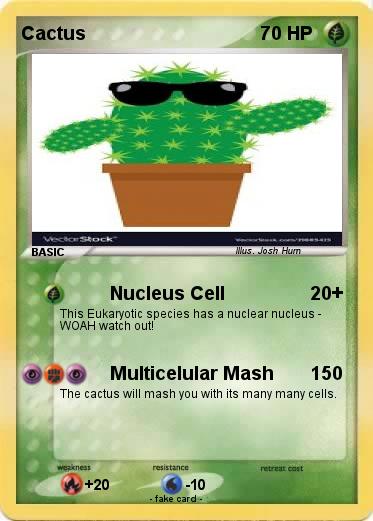 Pokemon Cactus