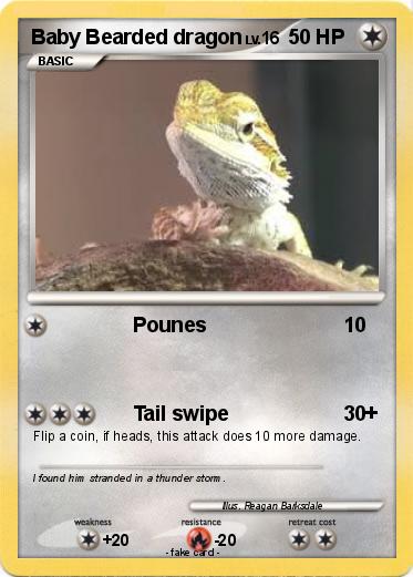 Pokemon Baby Bearded dragon