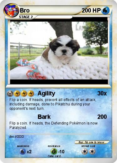 Pokemon Bro