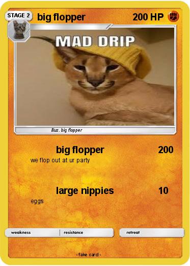 Pokemon big flopper