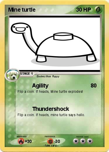 Pokemon Mine turtle