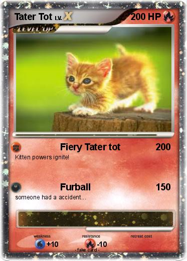 Pokemon Tater Tot