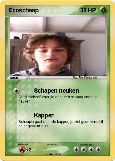 Pokemon Ecoschaap