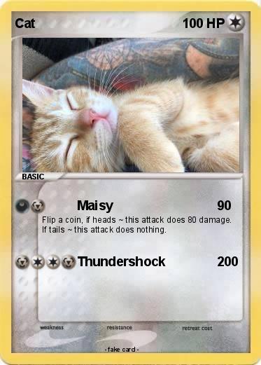 Pokemon Cat