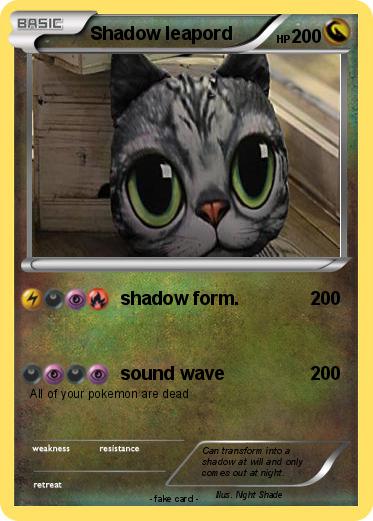 Pokemon Shadow leapord