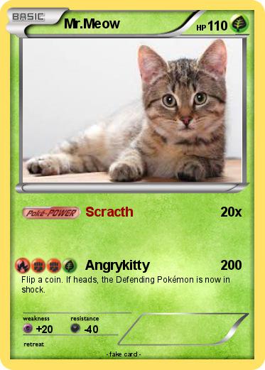 Pokemon Mr.Meow