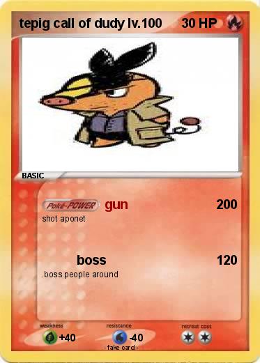 Pokemon tepig call of dudy lv.100