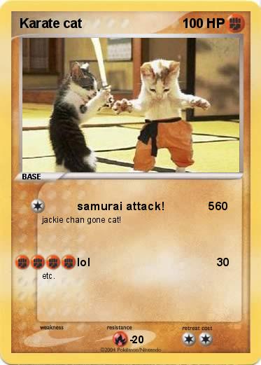 Pokemon Karate cat