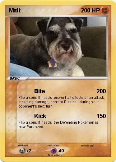 Pokemon Matt