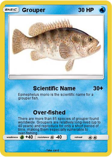 Pokemon Grouper