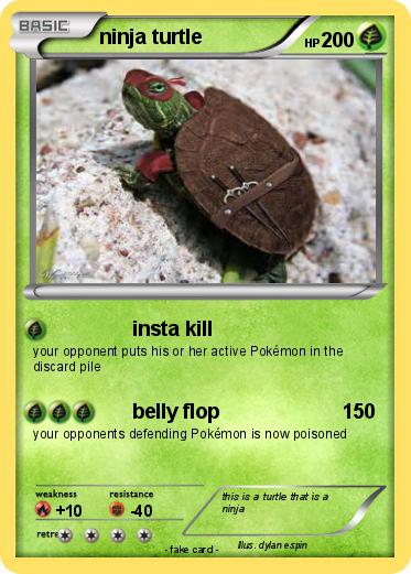 Pokemon ninja turtle