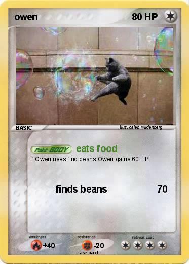 Pokemon owen