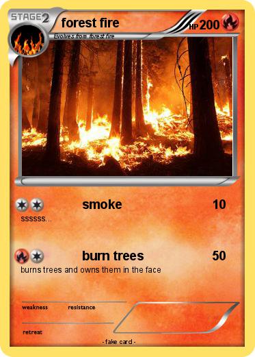 Pokemon forest fire