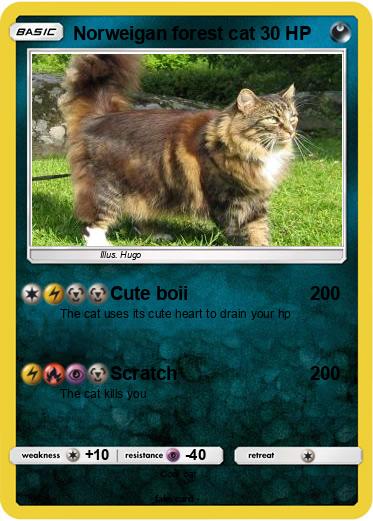 Pokemon Norweigan forest cat