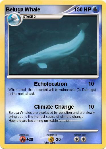 Pokemon Beluga Whale