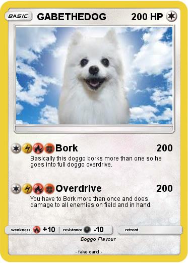 Pokemon GABETHEDOG