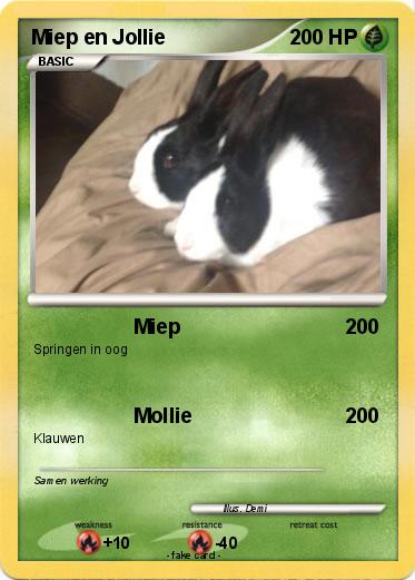 Pokemon Miep en Jollie