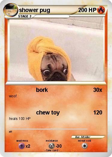 Pokemon shower pug