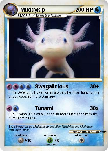 Pokemon Muddykip
