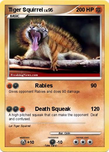 Pokemon Tiger Squirrel