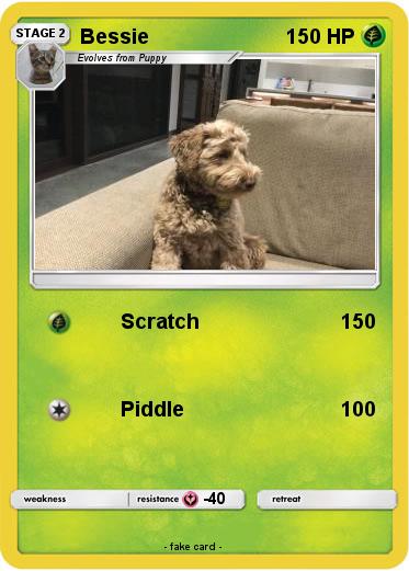 Pokemon Bessie