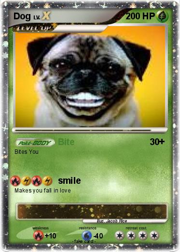Pokemon Dog