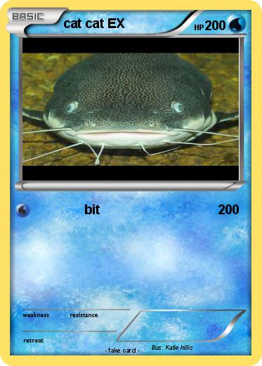 Pokemon cat cat EX