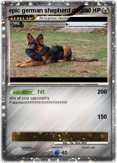 Pokemon epic german shepherd dog