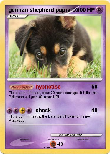 Pokemon german shepherd pup
