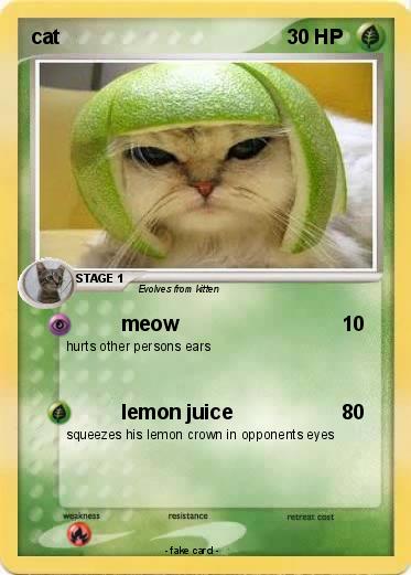 Pokemon cat