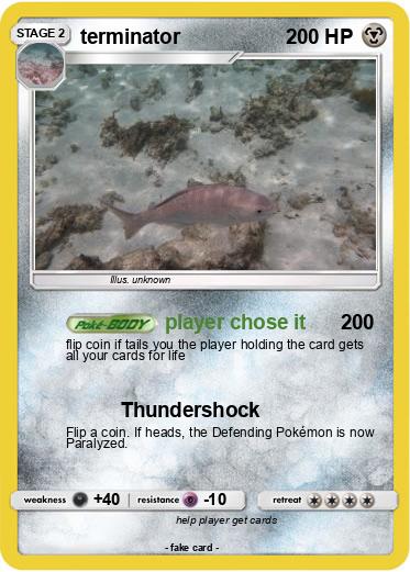 Pokemon terminator