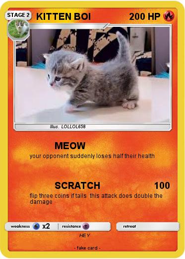 Pokemon KITTEN BOI
