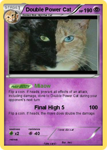 Pokemon Double Power Cat