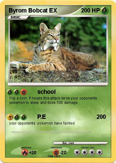 Pokemon Byrom Bobcat EX