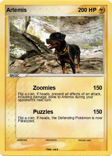 Pokemon Artemis